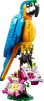 LEGO® Creator 3 v 1 31136 Pappagallo esotico (2)