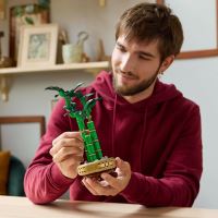 LEGO® Botanicals 10344 Bambù del buon auspicio (1)