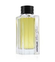 Montblanc Vetiver Glacier Eau de Parfum da uomo 125 ml (1)