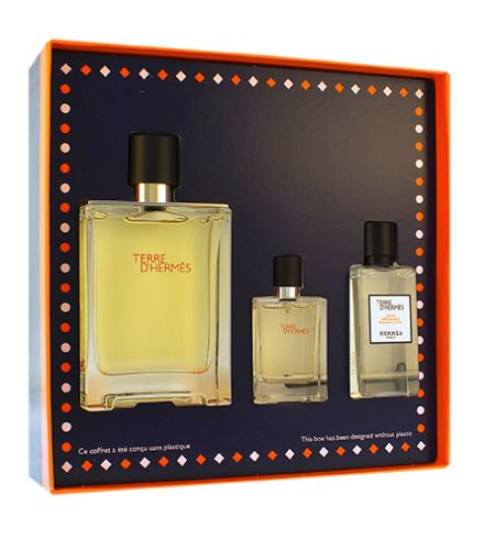 Hermes Terre d'Hermes confezione regalo da uomo Eau de Toilett 100 ml + Eau de Toilett 12,5 ml + after-shave 40 ml