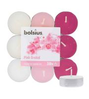 Bolsius Scented Tealights Orchid 4h candela scaldavivande 18 pz