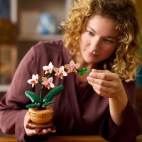 LEGO® Botanicals 10343 Mini-orchidea (1)