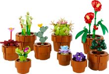 LEGO® Botanicals 10329 Piantine (2)
