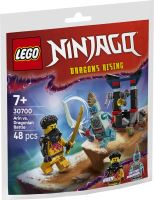 LEGO® 30700 Battaglia di Arin vs. Dragoniano (2)
