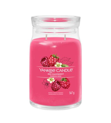 Yankee Candle Red Raspberry Signature candela grande 567 g